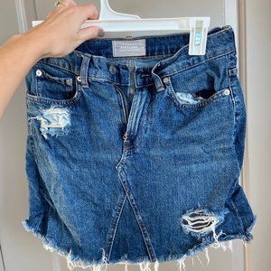 Everlane Jean Skirt